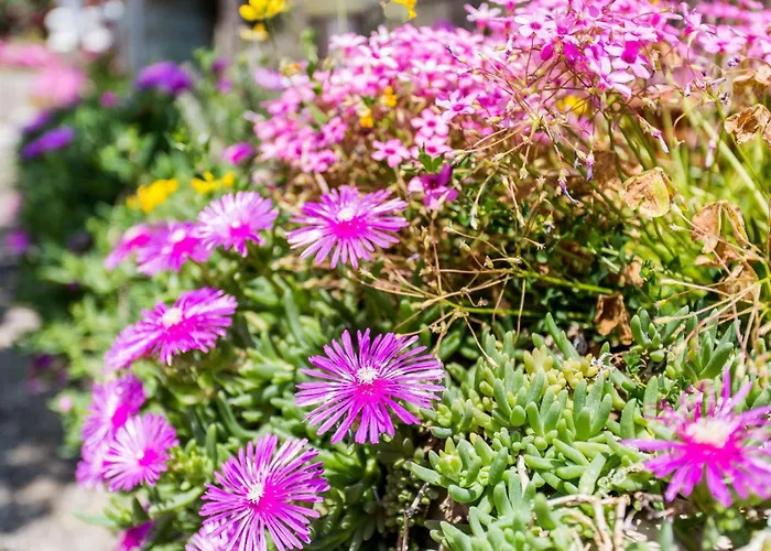 Moderne Grzetic By Interhome Apartment